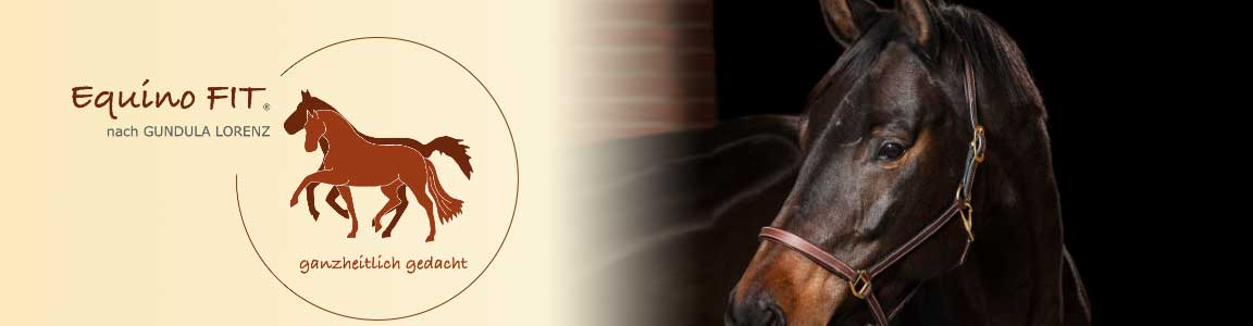 Gundula's Pferd Fabiola